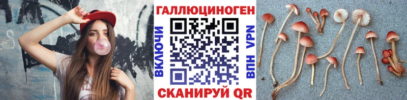 omg ссылка  Щёлкино  Псилоцибиновые грибы Magic Shrooms 